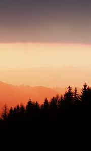 Preview wallpaper trees, silhouettes, fog, sunset, sky, slope