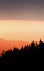 Preview wallpaper trees, silhouettes, fog, sunset, sky, slope