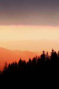 Preview wallpaper trees, silhouettes, fog, sunset, sky, slope