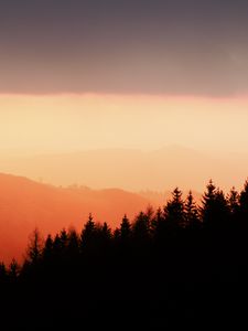 Preview wallpaper trees, silhouettes, fog, sunset, sky, slope