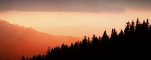 Preview wallpaper trees, silhouettes, fog, sunset, sky, slope