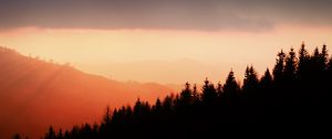 Preview wallpaper trees, silhouettes, fog, sunset, sky, slope