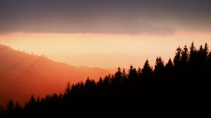 Preview wallpaper trees, silhouettes, fog, sunset, sky, slope