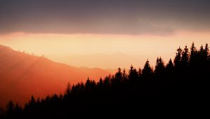 Preview wallpaper trees, silhouettes, fog, sunset, sky, slope