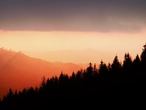 Preview wallpaper trees, silhouettes, fog, sunset, sky, slope