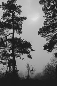 Preview wallpaper trees, silhouettes, fog, haze, black and white, dark