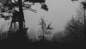 Preview wallpaper trees, silhouettes, fog, haze, black and white, dark
