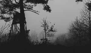 Preview wallpaper trees, silhouettes, fog, haze, black and white, dark