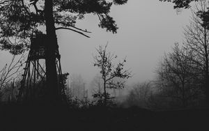 Preview wallpaper trees, silhouettes, fog, haze, black and white, dark