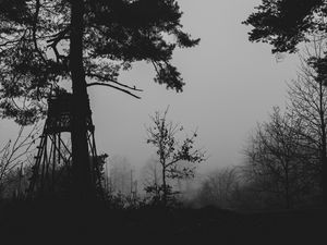 Preview wallpaper trees, silhouettes, fog, haze, black and white, dark