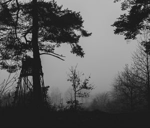 Preview wallpaper trees, silhouettes, fog, haze, black and white, dark