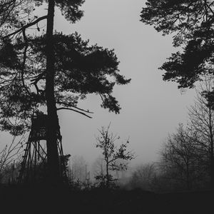 Preview wallpaper trees, silhouettes, fog, haze, black and white, dark