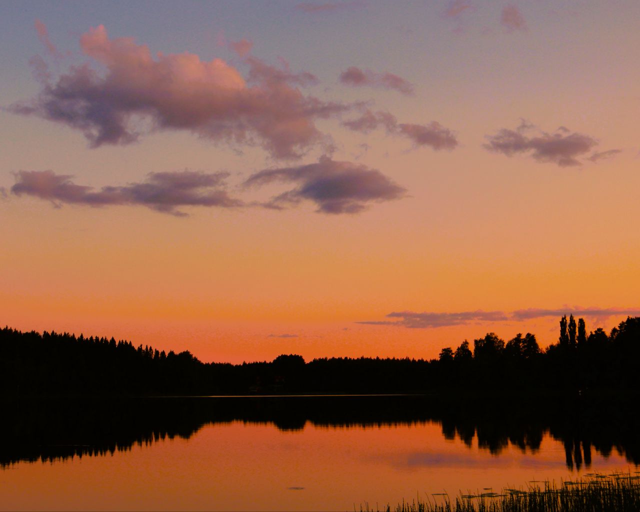 1280x1024 Wallpaper trees, silhouettes, forest, lake, clouds, sky, sunset, landscape