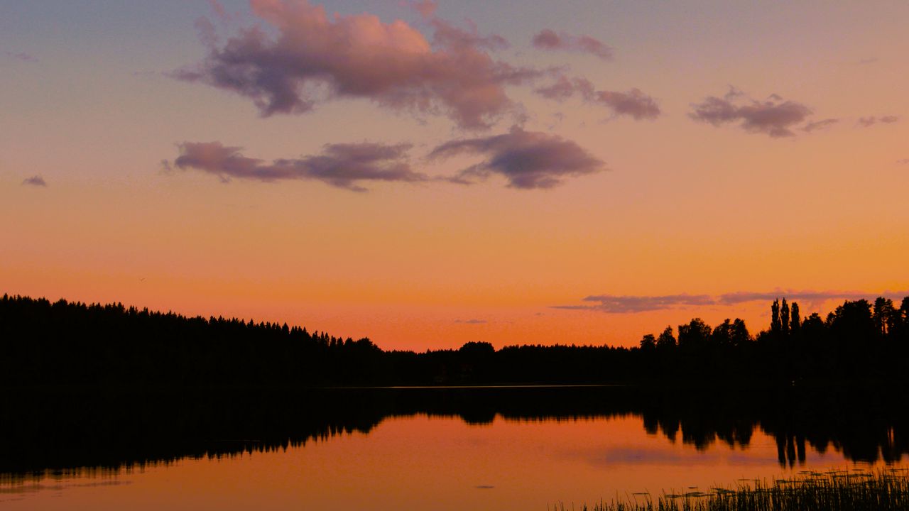 Wallpaper trees, silhouettes, forest, lake, clouds, sky, sunset, landscape
