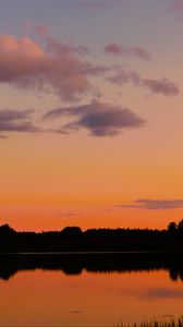 Preview wallpaper trees, silhouettes, forest, lake, clouds, sky, sunset, landscape