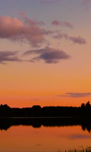 Preview wallpaper trees, silhouettes, forest, lake, clouds, sky, sunset, landscape