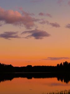 Preview wallpaper trees, silhouettes, forest, lake, clouds, sky, sunset, landscape