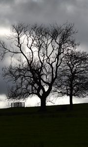 Preview wallpaper trees, silhouettes, hill, grass, dark