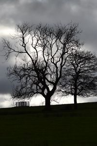 Preview wallpaper trees, silhouettes, hill, grass, dark