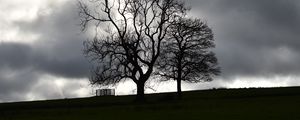 Preview wallpaper trees, silhouettes, hill, grass, dark