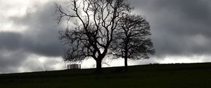 Preview wallpaper trees, silhouettes, hill, grass, dark