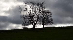 Preview wallpaper trees, silhouettes, hill, grass, dark