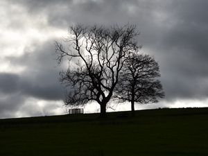 Preview wallpaper trees, silhouettes, hill, grass, dark