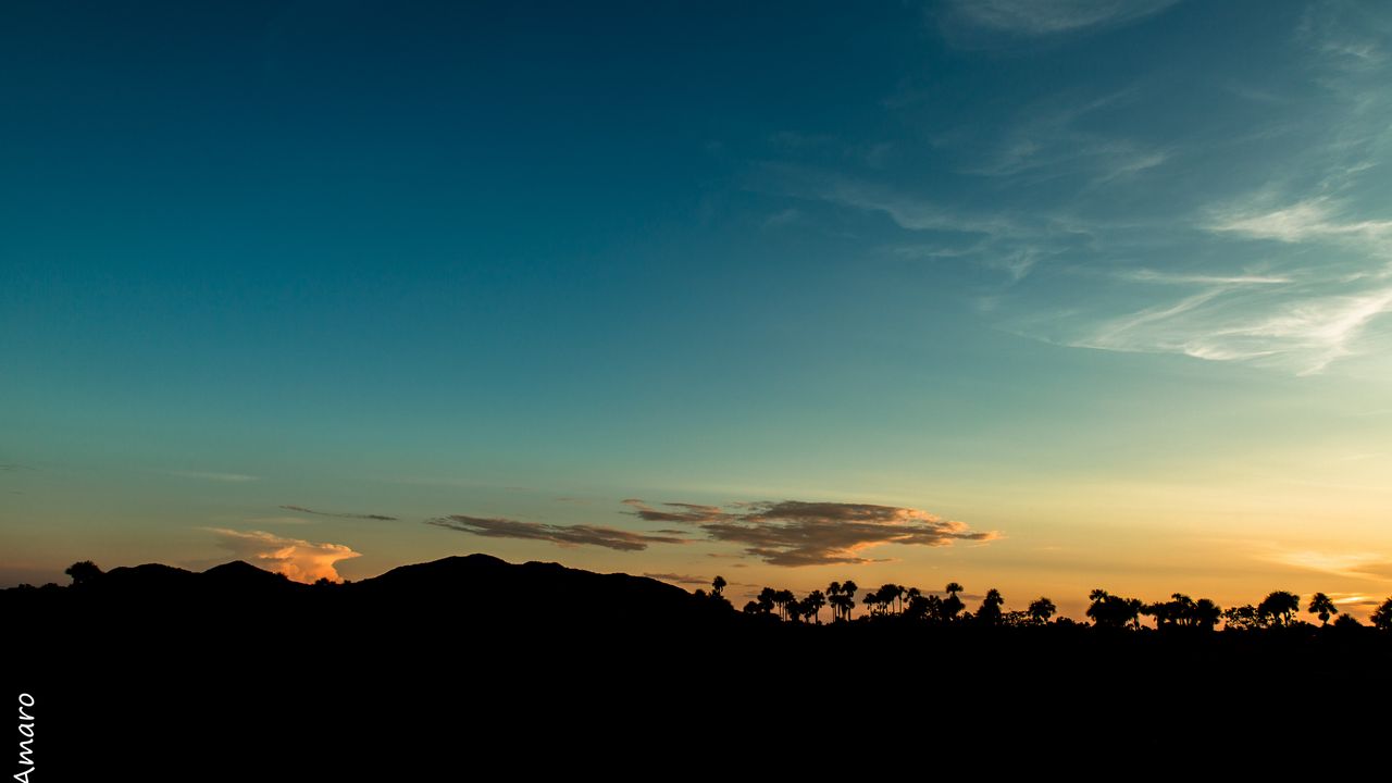 Wallpaper trees, silhouettes, horizon, twilight, dark