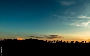 Preview wallpaper trees, silhouettes, horizon, twilight, dark
