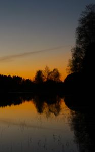 Preview wallpaper trees, silhouettes, lake, evening, dark
