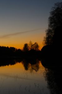 Preview wallpaper trees, silhouettes, lake, evening, dark