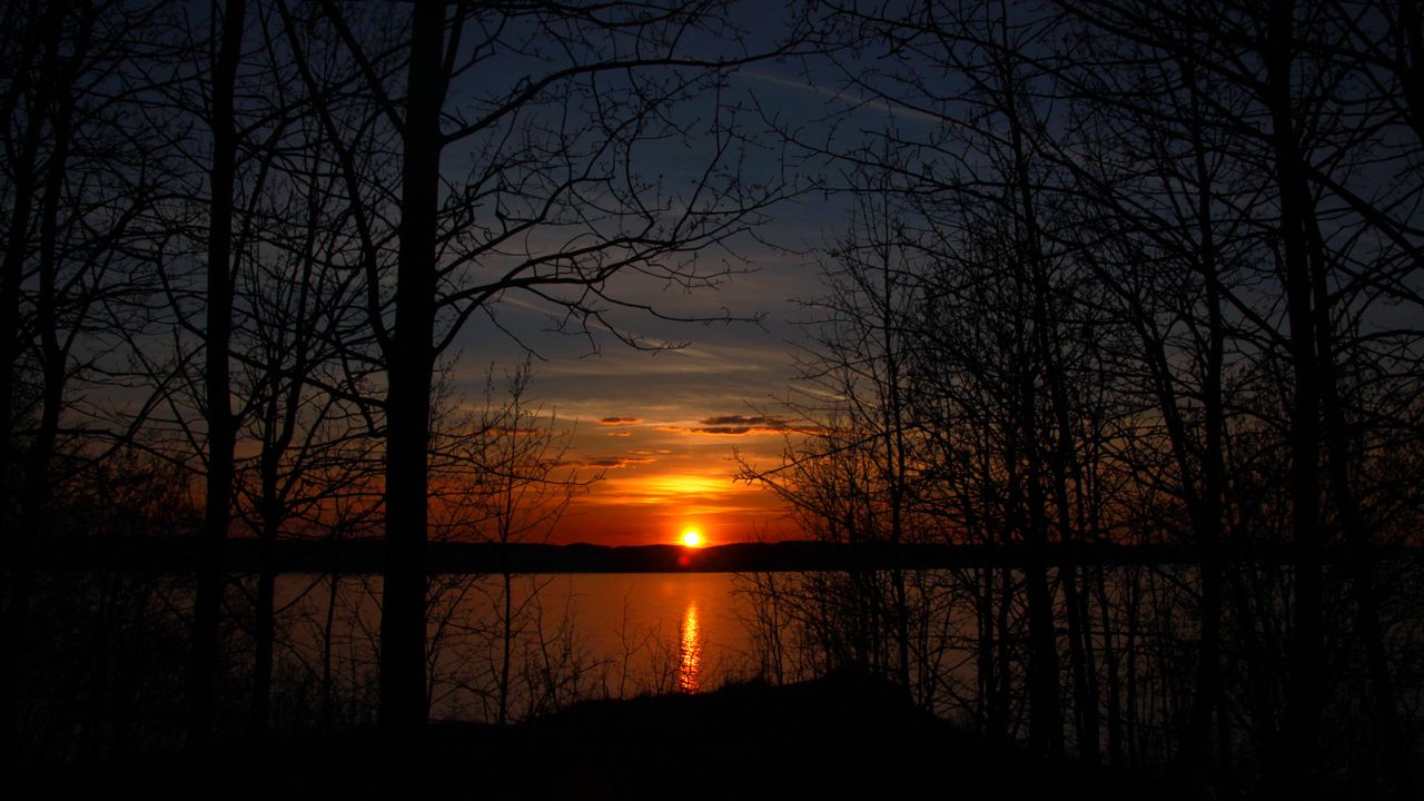 Wallpaper trees, silhouettes, lake, sun, sunset, dark