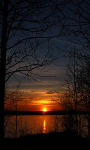 Preview wallpaper trees, silhouettes, lake, sun, sunset, dark