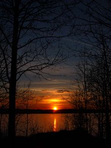 Preview wallpaper trees, silhouettes, lake, sun, sunset, dark