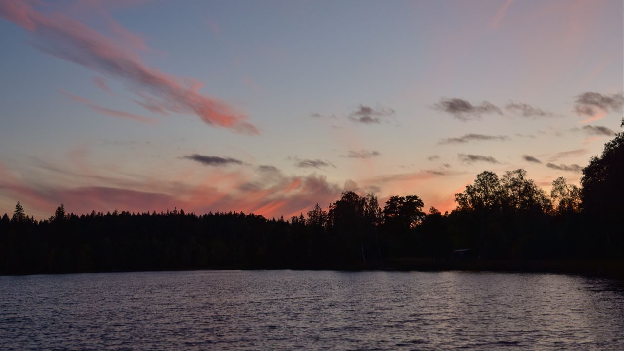 Wallpaper trees, silhouettes, lake, landscape, twilight, dark