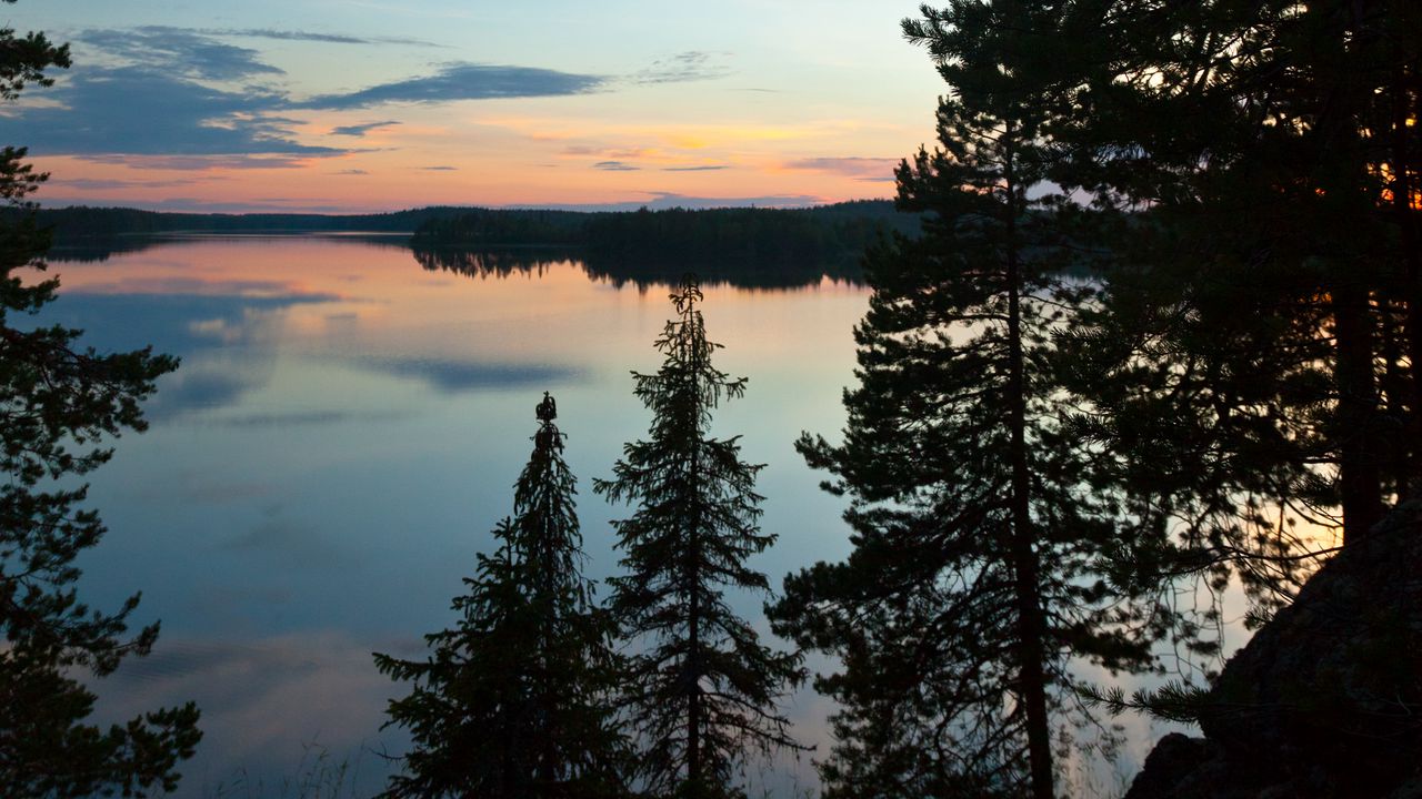 Wallpaper trees, silhouettes, lake, twilight, landscape, dark