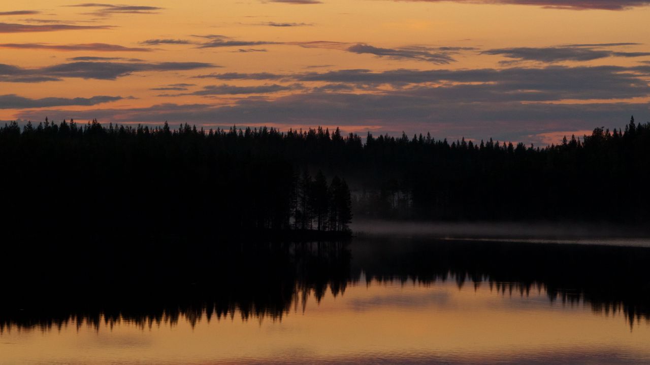 Wallpaper trees, silhouettes, lake, reflection, twilight, dark