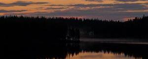 Preview wallpaper trees, silhouettes, lake, reflection, twilight, dark