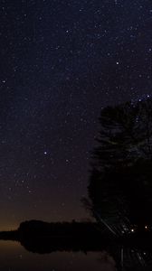 Preview wallpaper trees, silhouettes, lake, starry sky, night