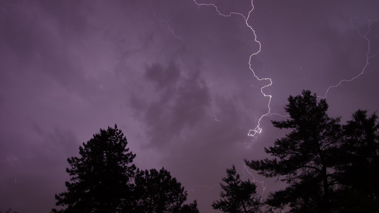 Wallpaper trees, silhouettes, lightning, thunderstorm, dark