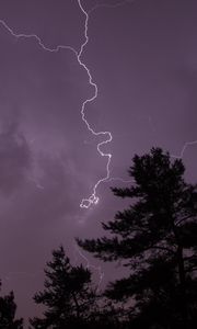 Preview wallpaper trees, silhouettes, lightning, thunderstorm, dark