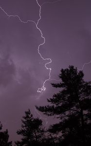 Preview wallpaper trees, silhouettes, lightning, thunderstorm, dark