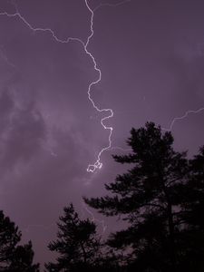 Preview wallpaper trees, silhouettes, lightning, thunderstorm, dark