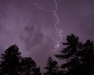 Preview wallpaper trees, silhouettes, lightning, thunderstorm, dark