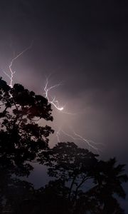 Preview wallpaper trees, silhouettes, lightning, night