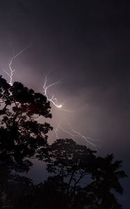 Preview wallpaper trees, silhouettes, lightning, night