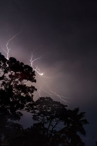 Preview wallpaper trees, silhouettes, lightning, night