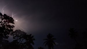 Preview wallpaper trees, silhouettes, lightning, night