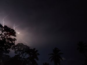 Preview wallpaper trees, silhouettes, lightning, night