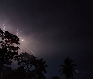 Preview wallpaper trees, silhouettes, lightning, night